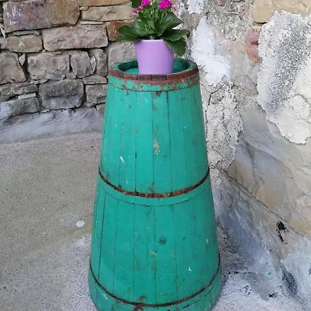 House Suzana Apartment Sovinjska Brda