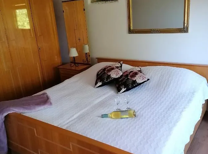 House Suzana Apartment Sovinjska Brda